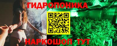 стаф Рязань