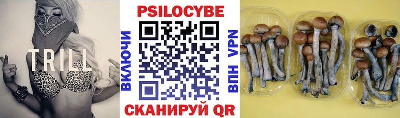 Псилоцибиновые грибы Magic Shrooms  площадка наркотические препараты  Тихвин 